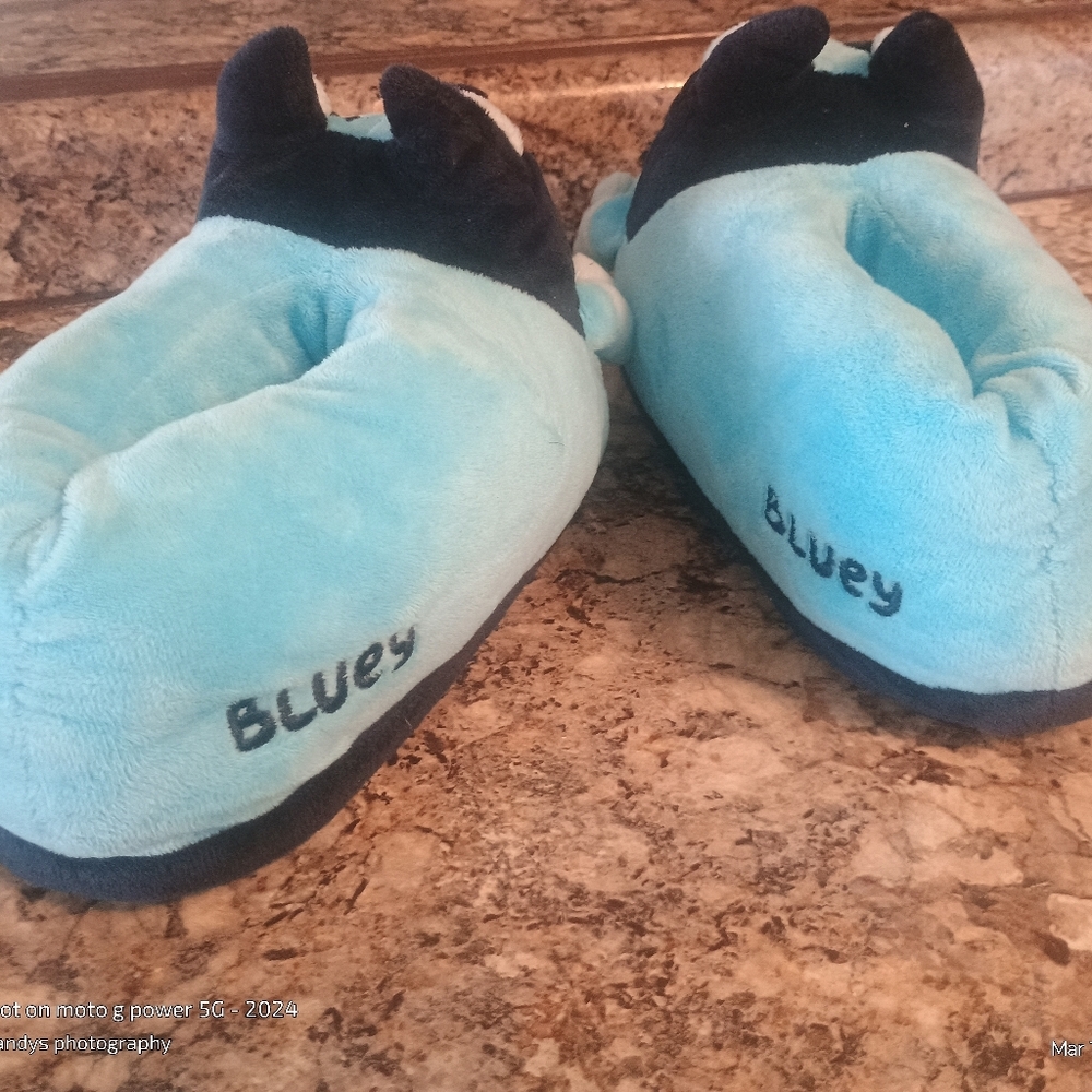 Blue Slippers 7/8 - Picture 3 of 4